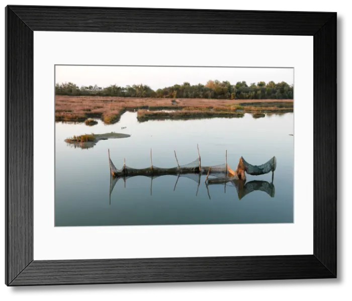 Framed Print : Fishing nets in the eastern lagoon of venice, Venice, Veneto, Italy Framed Print : Fishing nets in the eastern lagoon of venice, Venice, Veneto, Italy