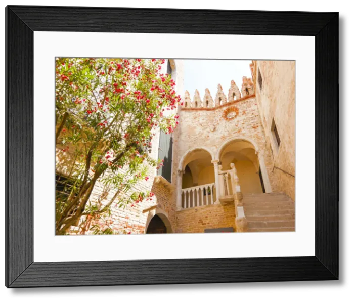 Framed Print : Late Gothic palace Soranzo van Axel in the Cannaregio district, Venice, Veneto, Italy Framed Print : Late Gothic palace Soranzo van Axel in the Cannaregio district, Venice, Veneto, Italy