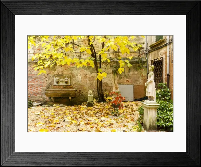 Framed Print : Garden from the Palazzo Rossini, Venice, Veneto, Italy