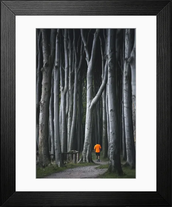 Framed Print : Nienhagen, Rostock district, Baltic coast, Mecklenburg-Western Pomerania, Germany Framed Print : Nienhagen, Rostock district, Baltic coast, Mecklenburg-Western Pomerania, Germany