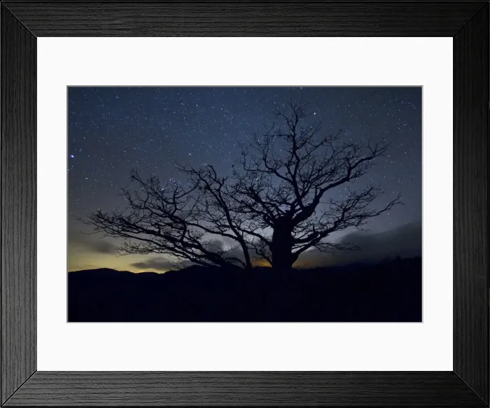 Framed Print : Italy, Calabria, Aspromonte National Park Framed Print : Italy, Calabria, Aspromonte National Park