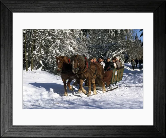 Framed Print : sleigh, Oberhof, Turingia, Germany Framed Print : sleigh, Oberhof, Turingia, Germany