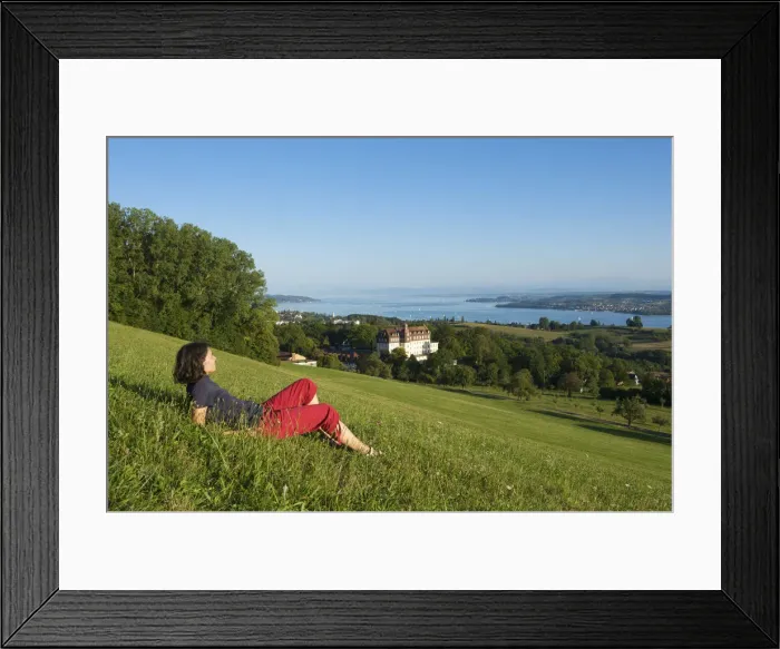 Framed Print : Spetzgart Castle near Ueberlingen, Lake Constance, Baden-Wuerttemberg, Germany (MR) Framed Print : Spetzgart Castle near Ueberlingen, Lake Constance, Baden-Wuerttemberg, Germany (MR)
