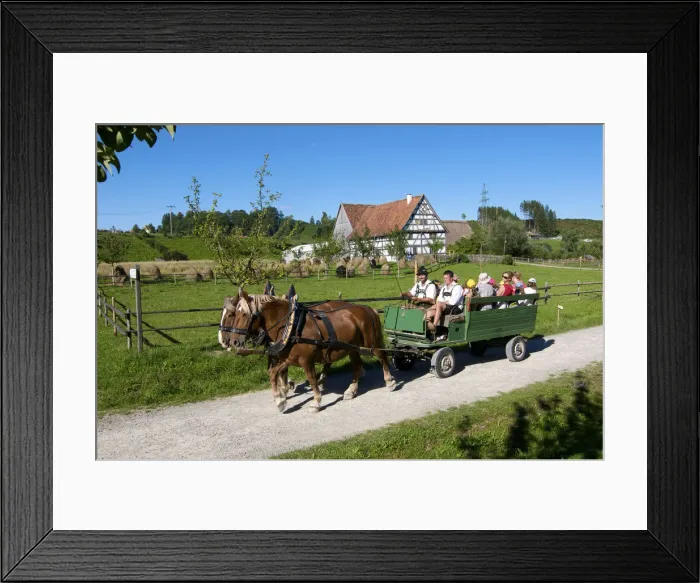 Framed Print : Historic horse-drawn carriage in Illerbeuern, Allgaeu, Bavaria, Germany Framed Print : Historic horse-drawn carriage in Illerbeuern, Allgaeu, Bavaria, Germany
