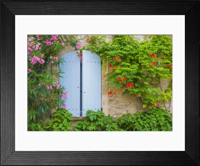 Framed Print : Blue Shutters & Flowers, Venasque, Provence, France Framed Print : Blue Shutters & Flowers, Venasque, Provence, France