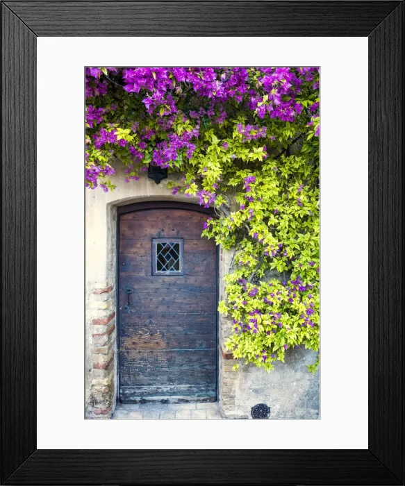 Framed Print : Bougainvillea over Old Door, St. Paul de Vence, Cote d Azur, France