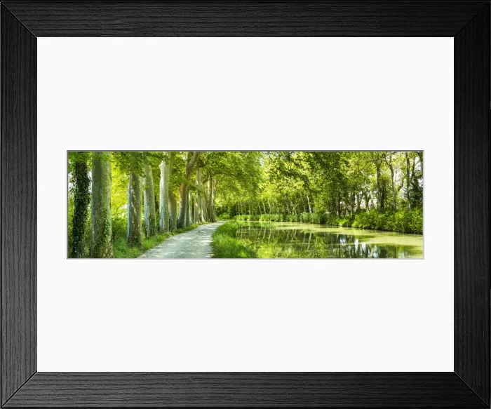 Framed Print : Canal du Midi, near Castelnaudary, Languedoc, France Framed Print : Canal du Midi, near Castelnaudary, Languedoc, France