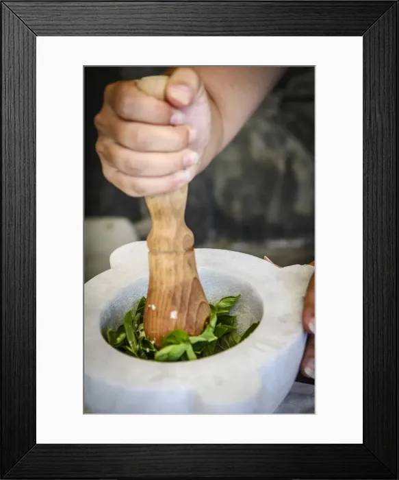 Framed Print : Europe, Italy. Liguria. Preparing genovese pesto during a cooking course Framed Print : Europe, Italy. Liguria. Preparing genovese pesto during a cooking course