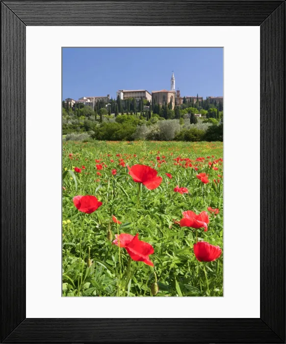 Framed Print : Field of poppies and hill town Pienza, Tuscany, Italy Framed Print : Field of poppies and hill town Pienza, Tuscany, Italy
