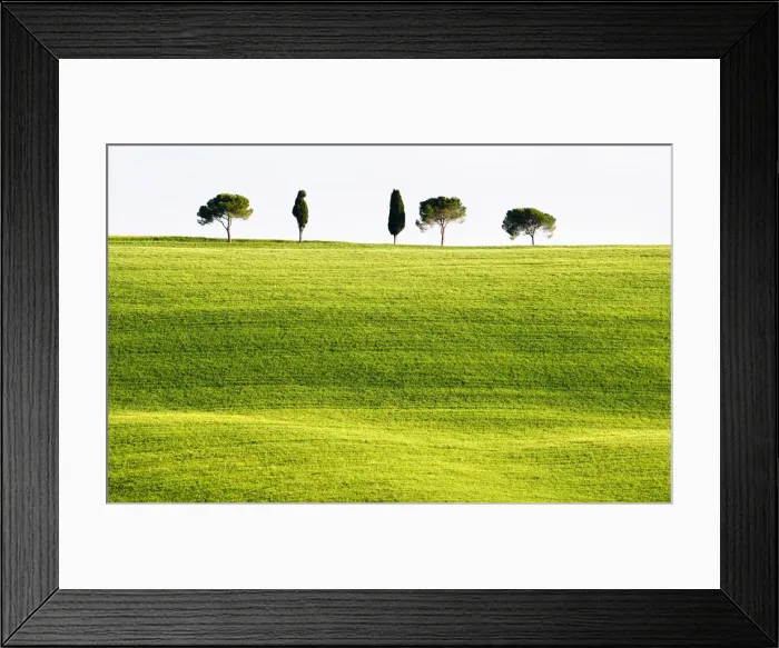 Framed Print : Classic Tuscan landscape, near San Quirico, Valle de Orcia, Tuscany, Italy Framed Print : Classic Tuscan landscape, near San Quirico, Valle de Orcia, Tuscany, Italy