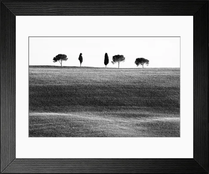 Framed Print : Classic Tuscan landscape, near San Quirico, Valle de Orcia, Tuscany, Italy Framed Print : Classic Tuscan landscape, near San Quirico, Valle de Orcia, Tuscany, Italy