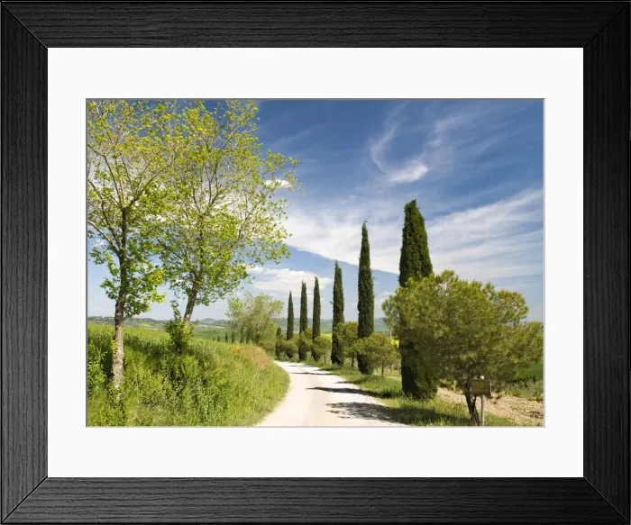 Framed Print : Traditional Tuscan landscape, near San Quirico, Valle de Orcia, Tuscany, Italy Framed Print : Traditional Tuscan landscape, near San Quirico, Valle de Orcia, Tuscany, Italy