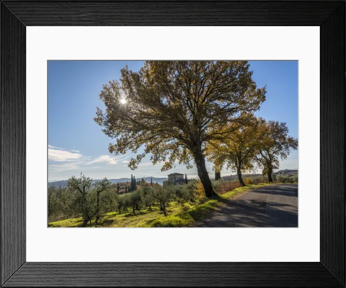 Framed Print : Europe, Italy, Tuscany. Road in Chianti Framed Print : Europe, Italy, Tuscany. Road in Chianti