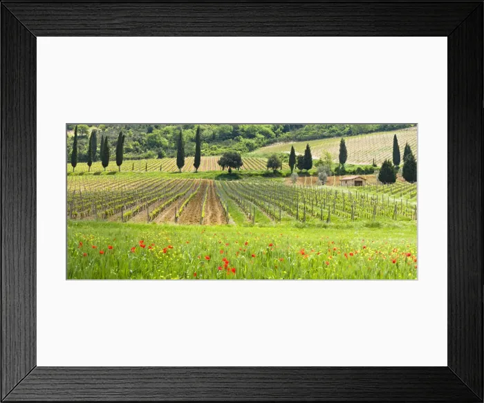 Framed Print : Traditional Tuscan landscape, Valle de Orcia, Tuscany, Italy Framed Print : Traditional Tuscan landscape, Valle de Orcia, Tuscany, Italy
