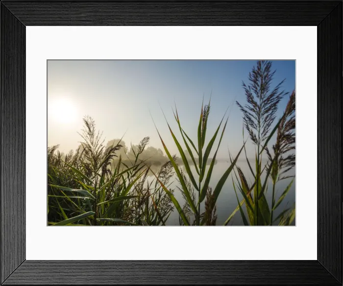 Framed Print : Europe, Italy, Emilia-Romagna. sunrise over the delta del po Framed Print : Europe, Italy, Emilia-Romagna. sunrise over the delta del po