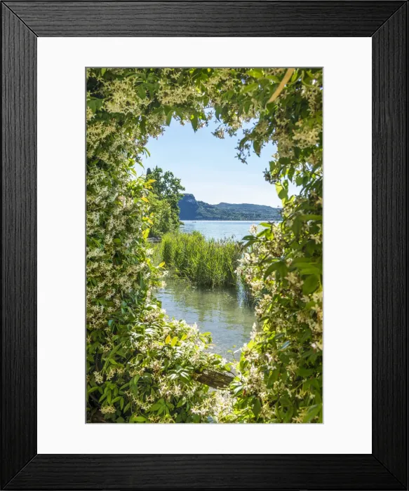 Framed Print : bar blue building elegant europe flowers frame Framed Print : bar blue building elegant europe flowers frame