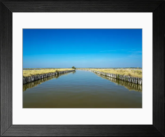 Framed Print : Europe, Italy, Emilia-Romagna. a boat excursion in the po delta Framed Print : Europe, Italy, Emilia-Romagna. a boat excursion in the po delta