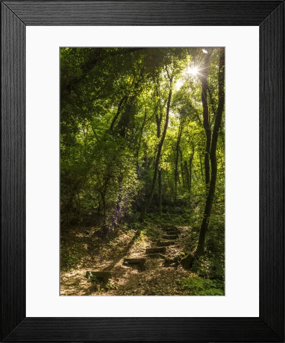 Framed Print : Europe, Italy, Veneto. Footpath near Rocca di garda Framed Print : Europe, Italy, Veneto. Footpath near Rocca di garda