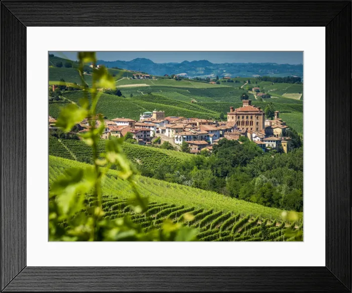 Framed Print : Europe, Italy, Piedmont. View of Barolo surrounded by vineyards Framed Print : Europe, Italy, Piedmont. View of Barolo surrounded by vineyards