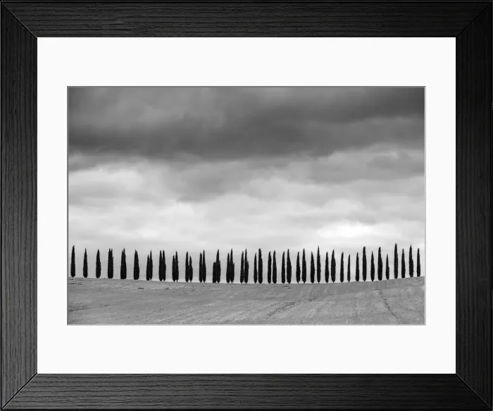 Framed Print : Rows of cypress trees at Agritourismo di Poggio Covili, Castiglione d Orcia, Val Framed Print : Rows of cypress trees at Agritourismo di Poggio Covili, Castiglione d Orcia, Val