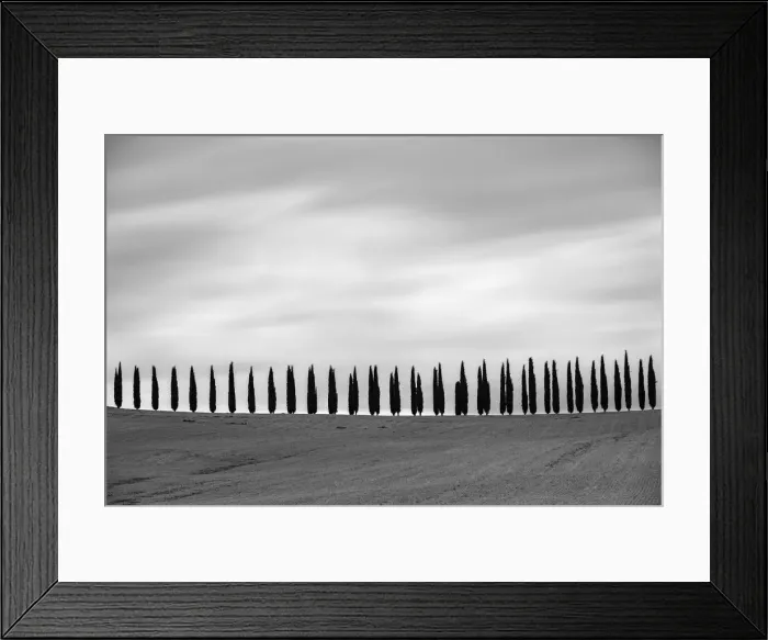 Framed Print : Rows of cypress trees at Agritourismo di Poggio Covili, Castiglione d Orcia, Val Framed Print : Rows of cypress trees at Agritourismo di Poggio Covili, Castiglione d Orcia, Val
