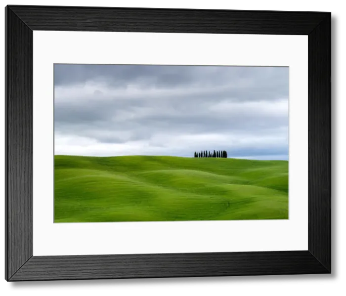 Framed Print : Tuscan landscape, rolling hills with wheat fields and cypress trees, San Quirico Framed Print : Tuscan landscape, rolling hills with wheat fields and cypress trees, San Quirico