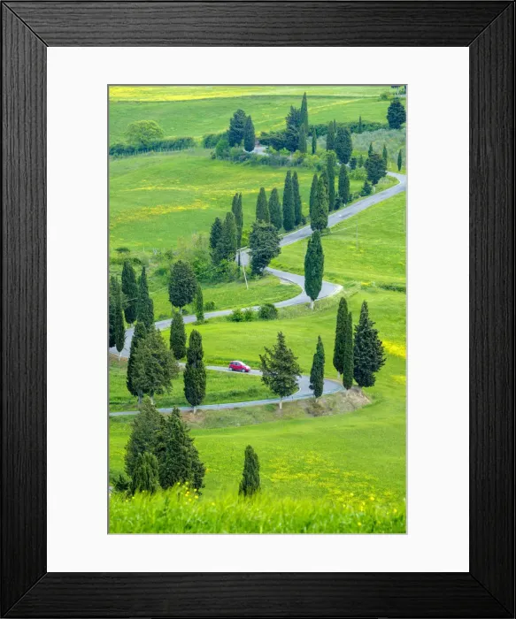 Framed Print : Tuscan landscape, winding road lined with cyprus trees near Monticchiello, Val d Orcia Framed Print : Tuscan landscape, winding road lined with cyprus trees near Monticchiello, Val d Orcia