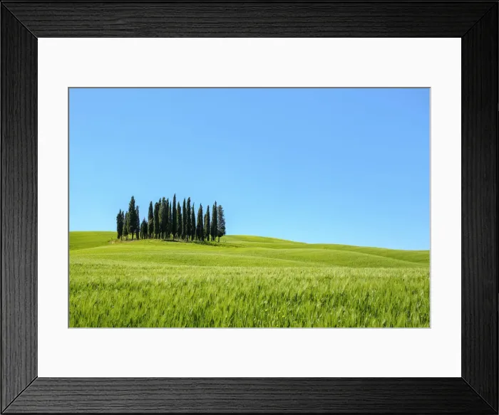 Framed Print : Cypress trees and Tuscan landscape in Val d Orcia, San Quirico d Orcia, Tuscany