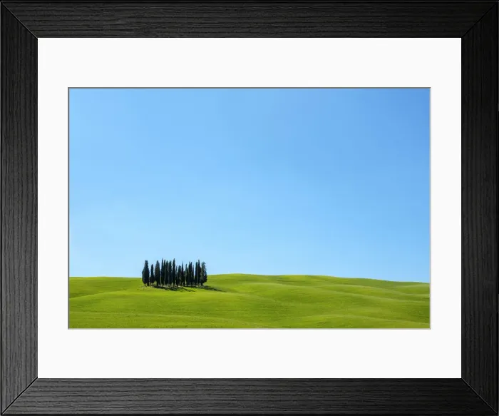 Framed Print : Cypress trees and Tuscan landscape in Val d Orcia, San Quirico d Orcia, Tuscany Framed Print : Cypress trees and Tuscan landscape in Val d Orcia, San Quirico d Orcia, Tuscany