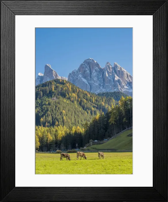 Framed Print : Funes Valley, South Tyrol region, Bolzano district, Trentino Alto Adige, Italy Framed Print : Funes Valley, South Tyrol region, Bolzano district, Trentino Alto Adige, Italy