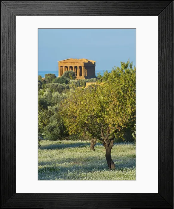 Framed Print : Temple of Concordia, Valley of the Temples, Agrigento, Sicily, Italy Framed Print : Temple of Concordia, Valley of the Temples, Agrigento, Sicily, Italy