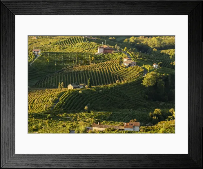 Framed Print : Italy, Veneto. Prosecco Road. Treviso district. Follo, vineyards of Prosecco Framed Print : Italy, Veneto. Prosecco Road. Treviso district. Follo, vineyards of Prosecco