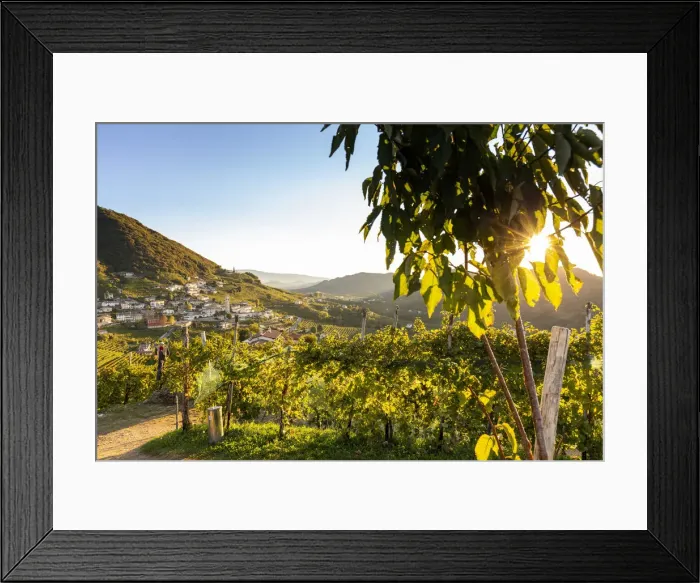 Framed Print : Italy, Veneto. Prosecco Road. Treviso district. Follo, vineyards of Prosecco Framed Print : Italy, Veneto. Prosecco Road. Treviso district. Follo, vineyards of Prosecco