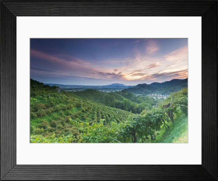 Framed Print : Italy, Veneto. Prosecco Road. Treviso district Framed Print : Italy, Veneto. Prosecco Road. Treviso district