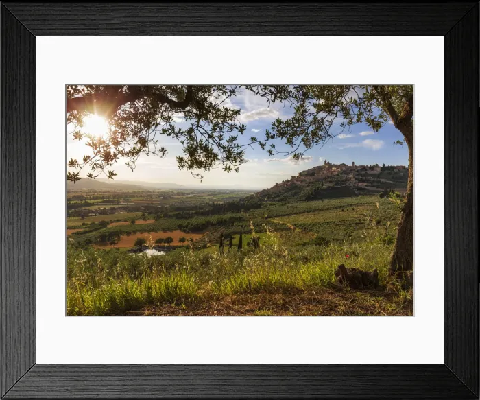 Framed Print : Italy, Umbria, Perugia district, Trevi Framed Print : Italy, Umbria, Perugia district, Trevi