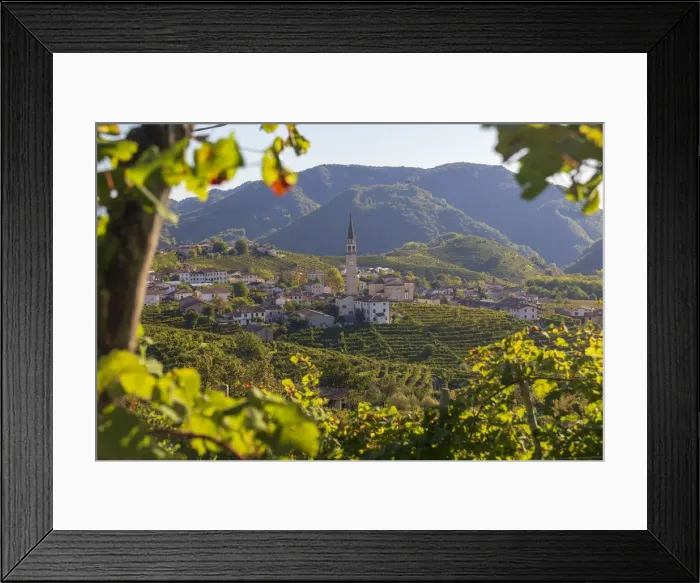Framed Print : Italy, Veneto. Prosecco Road. Treviso district. Valdobbiadene. vineyards of Prosecco