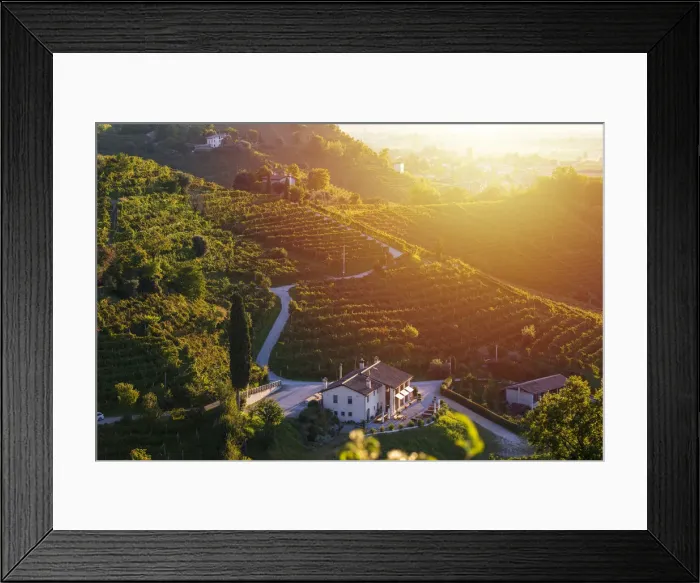 Framed Print : Italy, Veneto. Prosecco Road. Treviso district. Farra di Soligo Framed Print : Italy, Veneto. Prosecco Road. Treviso district. Farra di Soligo