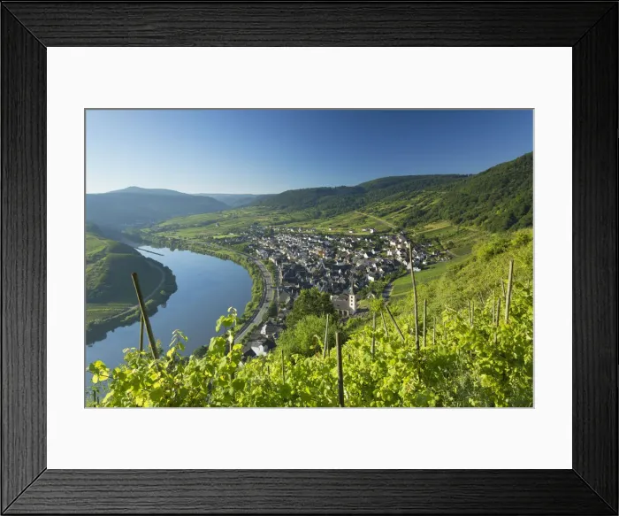 Framed Print : View of River Moselle, Bremm, Rhineland-Palatinate, Germany Framed Print : View of River Moselle, Bremm, Rhineland-Palatinate, Germany