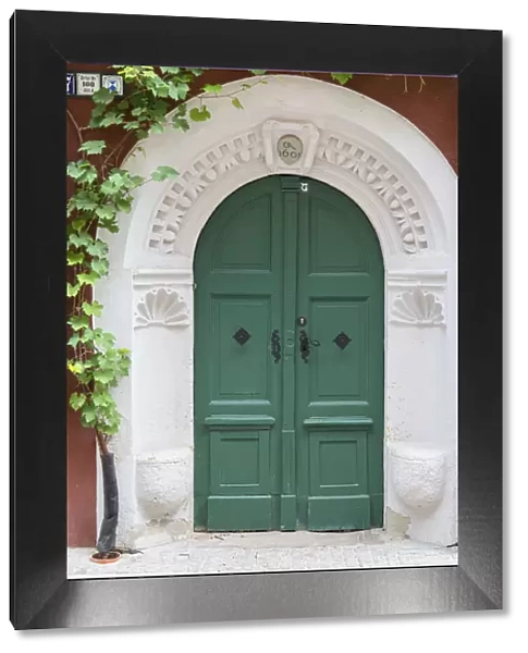 Door with vines, Meissen, Saxony, Germany