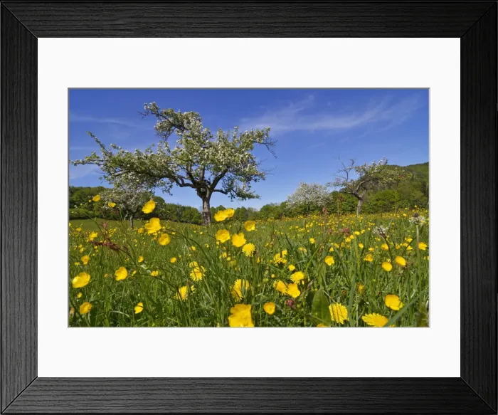 Framed Print : Landscape, Bavaria, Germany Framed Print : Landscape, Bavaria, Germany