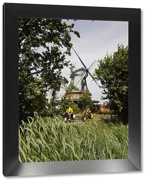 Windmill, Borgsum, Foehr Island, Friesland, Schleswig-Holstein, Germany