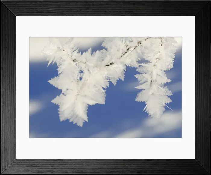 Framed Print : Ice crystals Framed Print : Ice crystals