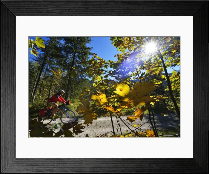 Framed Print : Cyclist on bike path between Laubau and Mittersee, Chiemgau, Bavaria, Germany, MR Framed Print : Cyclist on bike path between Laubau and Mittersee, Chiemgau, Bavaria, Germany, MR