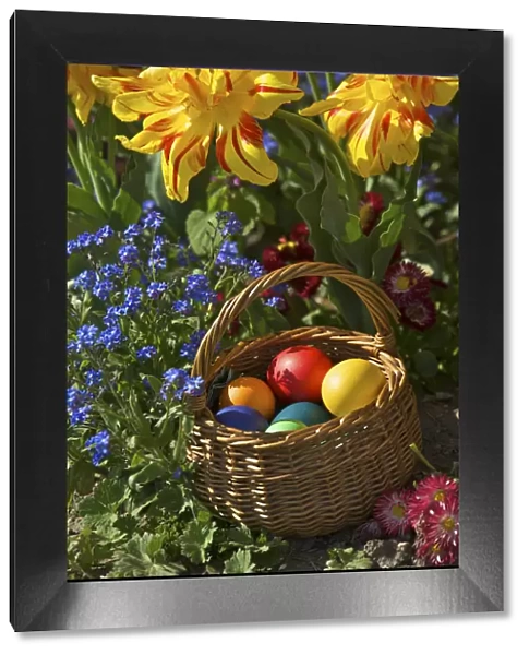Colourful easter eggs in a basket