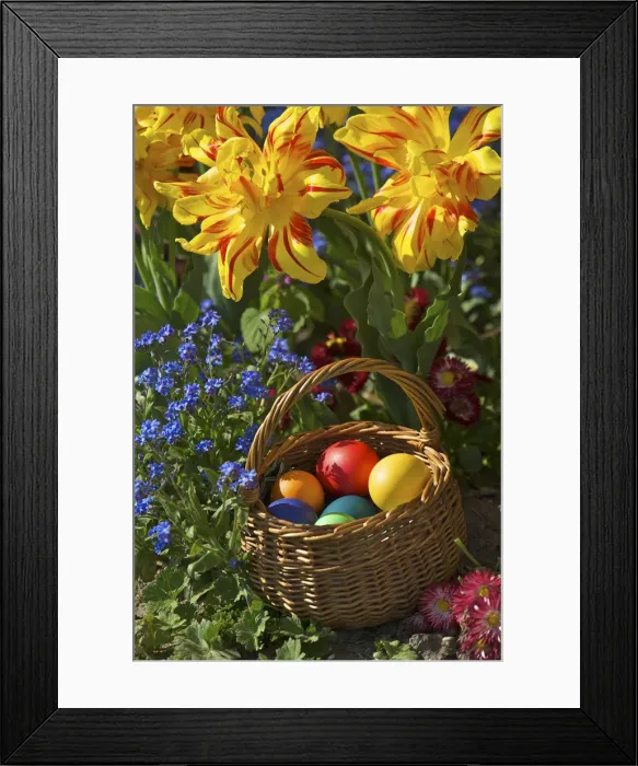 Framed Print : Colourful easter eggs in a basket Framed Print : Colourful easter eggs in a basket