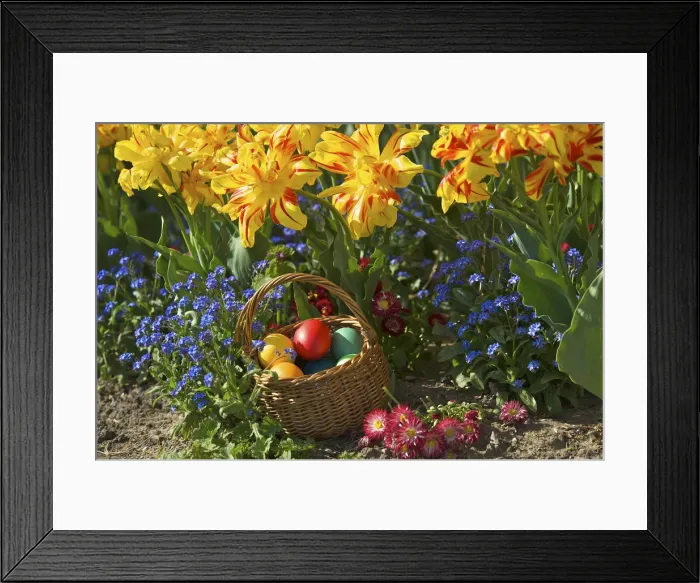 Framed Print : colourful easter eggs in a basket Framed Print : colourful easter eggs in a basket
