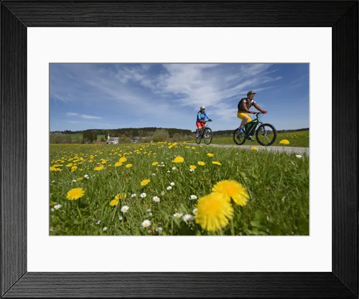 Framed Print : Electric cyclists at Ischl, Chiemgau, Upper Bavaria, Bavaria, Germany, Europe, MR Framed Print : Electric cyclists at Ischl, Chiemgau, Upper Bavaria, Bavaria, Germany, Europe, MR