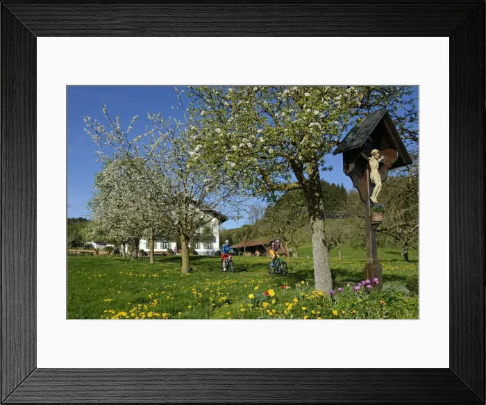 Framed Print : Electric cyclists in Prien am Chiemsee, Chiemgau, Upper Bavaria, Bavaria, Germany Framed Print : Electric cyclists in Prien am Chiemsee, Chiemgau, Upper Bavaria, Bavaria, Germany