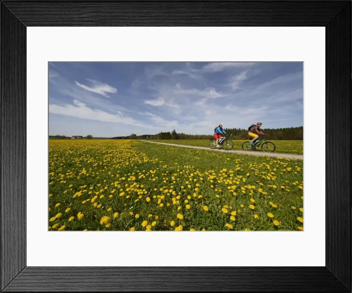 Framed Print : Electric cyclists at Wiesmuhl, Chiemgau, Upper Bavaria, Bavaria, Germany, Europe, MR Framed Print : Electric cyclists at Wiesmuhl, Chiemgau, Upper Bavaria, Bavaria, Germany, Europe, MR