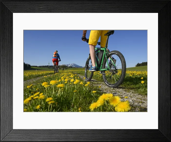 Framed Print : Electric cyclists at Erlstatt, Chiemgau, Upper Bavaria, Bavaria, Germany, Europe, MR Framed Print : Electric cyclists at Erlstatt, Chiemgau, Upper Bavaria, Bavaria, Germany, Europe, MR